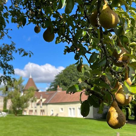 Le Petit Château Baye  Exterior foto